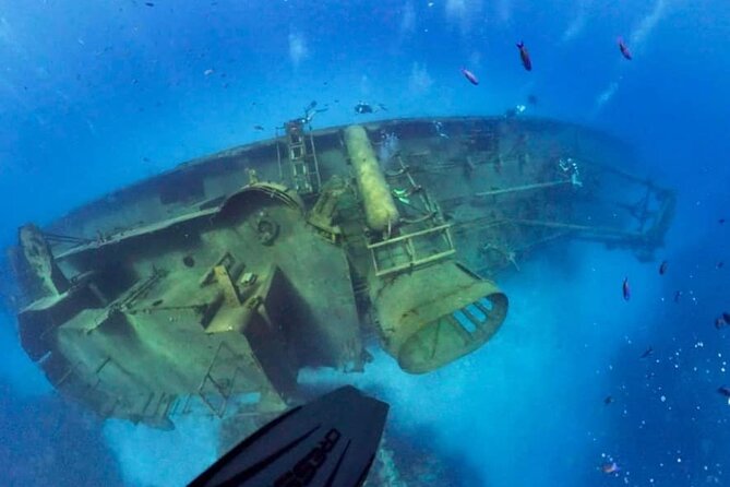 Grand Cayman Kittiwake and Reef Sail - Stop 2: A living coral reef with guide tips