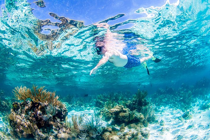 Grand Cayman Kittiwake and Reef Sail - Price and value: what $123.50 buys you