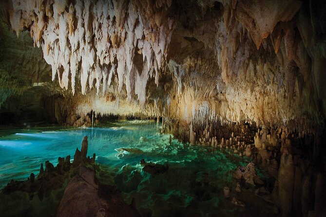 Grand Cayman Private Customized Bus Tour - Stop Type #4: Hell’s Limestone Formations and the Postcard Moment