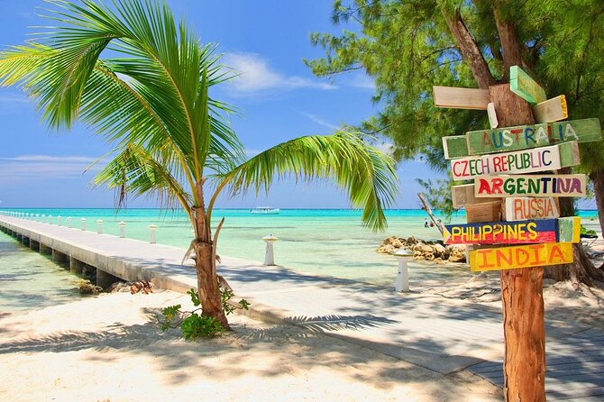 Grand Cayman Private Customized Bus Tour - Getting Picked Up: Cruise Terminal vs Seven Mile Beach Hotels