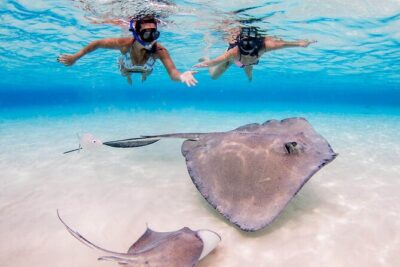 Grand Cayman Stingray City and Reef Snorkeling Combo Tour