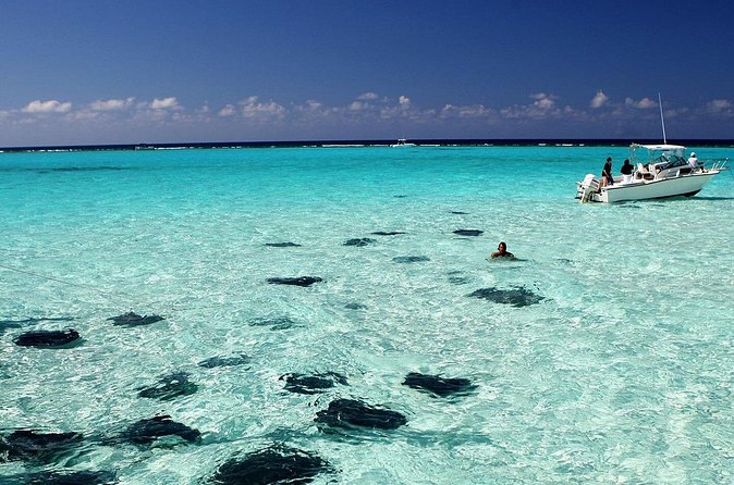 Grand Cayman Stingray City and Reef Snorkeling Combo Tour - Stingray City photo moments, plus the bonus wildlife factor
