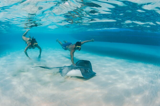 Half-Day Private Stingray City Charter - Grand Cayman - BTC - Barrier Reef Snorkel and Starfish Beach: The Calm Finish