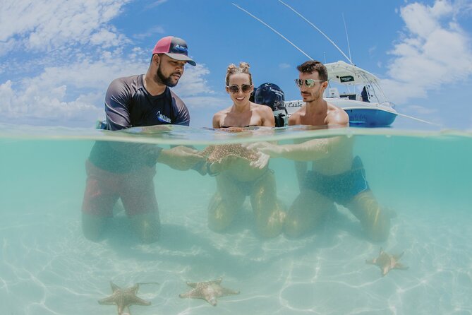 Half-Day Private Stingray City Charter - Grand Cayman - BTC - Who Should Book This Private Charter