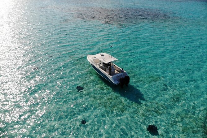 Half-Day Private Stingray City Charter - Grand Cayman - BTC - Getting There: Yacht Drive Meets a Smooth 3 Hour Schedule