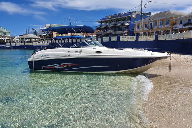 Half-Day Private Stingray City Charter in Cayman Islands - Key things that make this charter worth your time