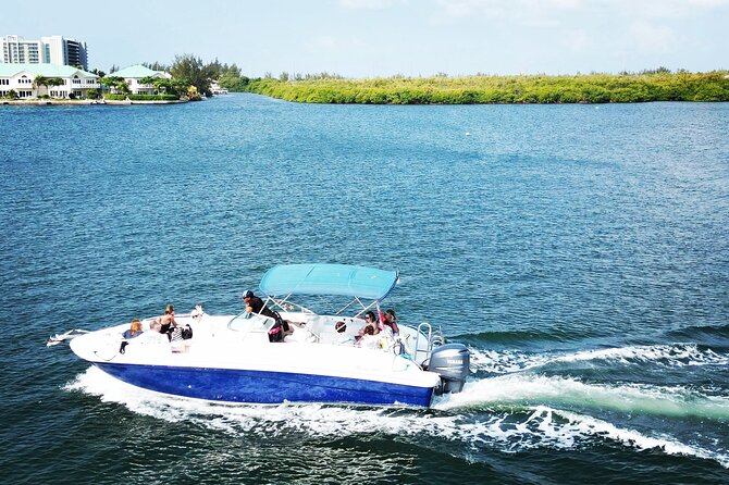 Half-Day Private Stingray City Charter in Cayman Islands - Stingray City on your own schedule, with real coaching