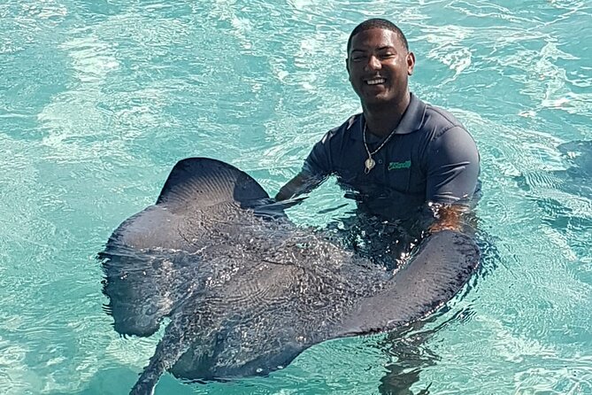 Half-Day Private Stingray City Charter in Cayman Islands - Stop 1 at the dock: what to expect before the water