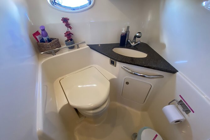 Half Day Private Tour with Jet Ski Experience in Cayman Island - Snorkeling among tropical fish: gear and what to expect