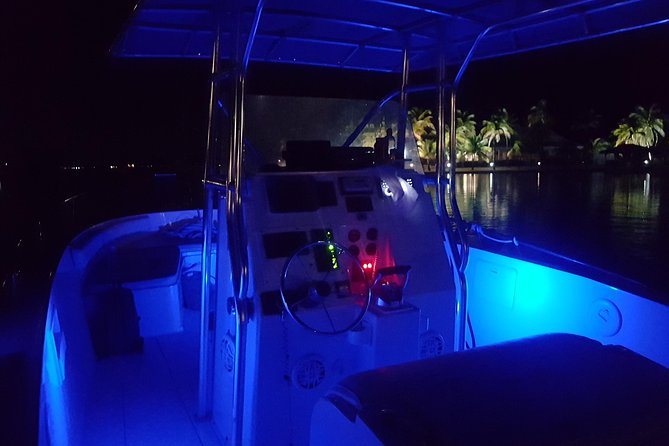 Night Bioluminescence Snorkel Tour - What happens once you arrive: snorkeling optional, glow in two different ways
