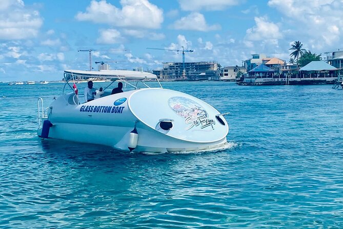 Oculus Glass Bottom Boat Tour - Key Things You’ll Notice on the Oculus Tour