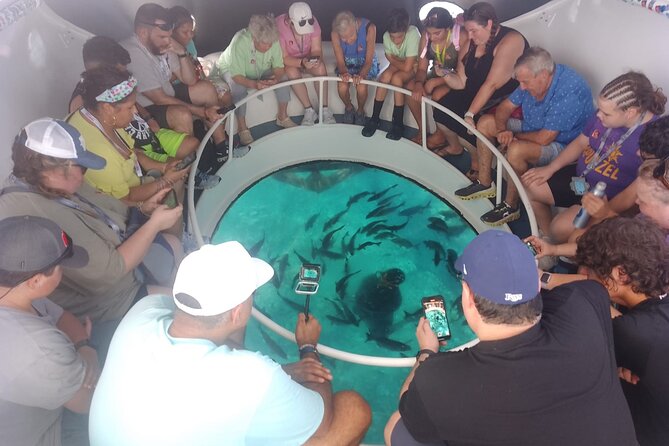 Oculus Glass Bottom Boat Tour - Cheeseburger Reef in George Town: Sculptures Plus Habitat