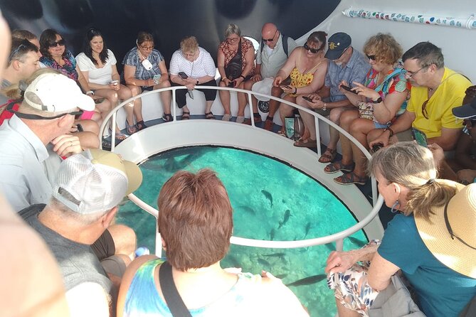 Oculus Glass Bottom Boat Tour - The Crew and Guide Energy: Why People Feel It’s Worth Returning