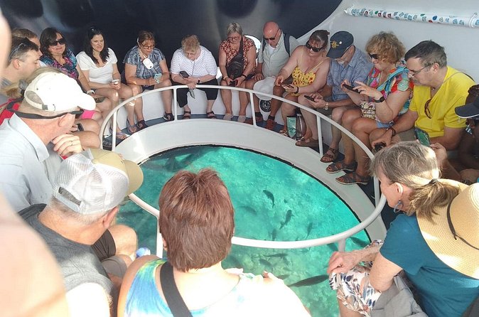 Oculus Glass Bottom Boat Tour - Safety and Comfort: What’s Included, What to Consider