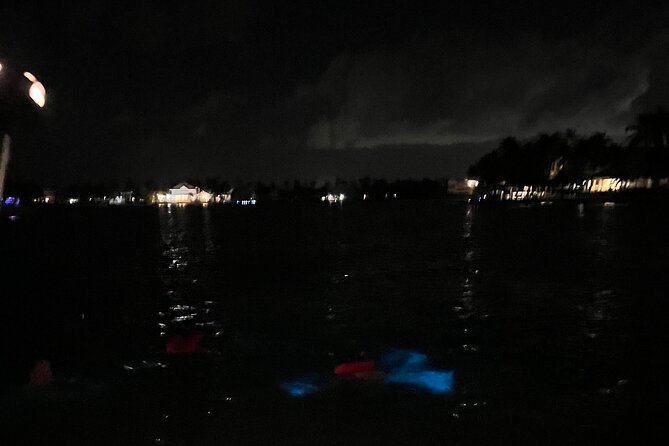 Private: Bioluminescence Tour - Private Boat Comfort and the Captain Factor