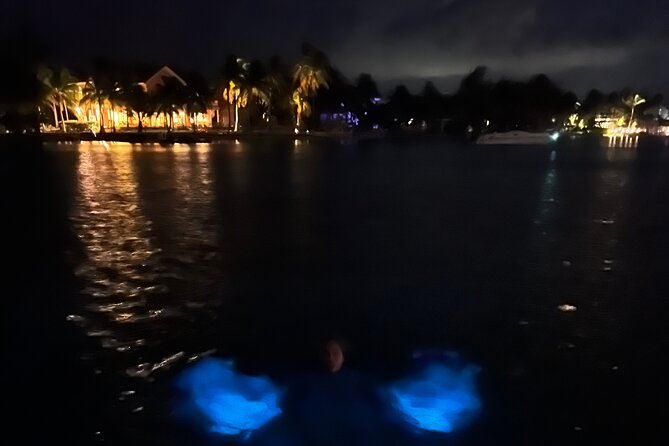 Private: Bioluminescence Tour - What’s Included, What’s Not, and What to Bring