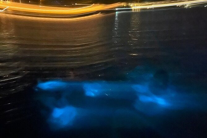 Private: Bioluminescence Tour - Value Check: Is $599 Worth It for a Private Night?