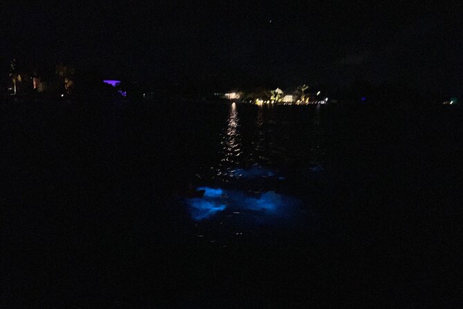 Private: Bioluminescence Tour - Who Should Book This Bioluminescence Tour?
