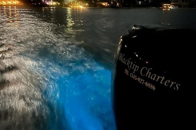 Private Bioluminescence Tour in Grand Cayman - The Snorkel Swim Moment: How to Make the Glow Work for You
