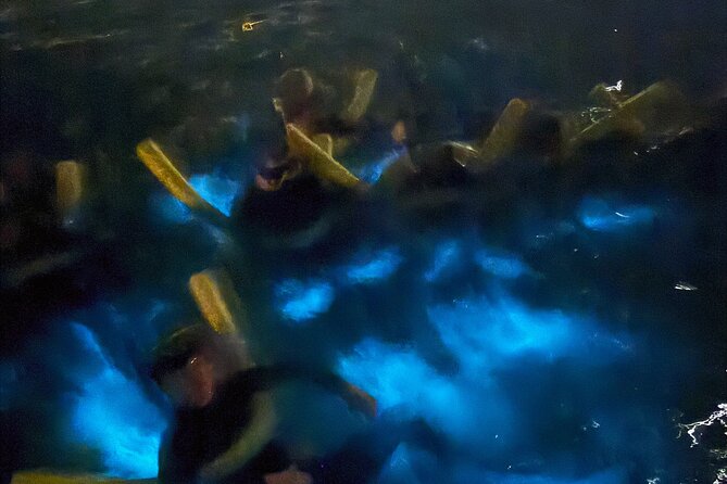 Private Bioluminescence Tour in Grand Cayman - Guides and the Multi-Generation Sweet Spot