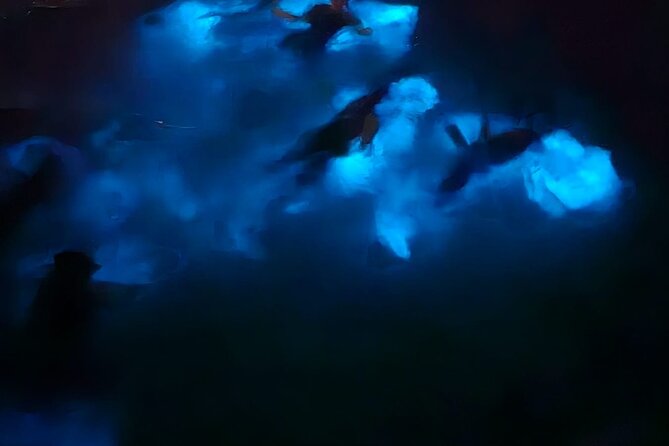 Private Bioluminescence Tour in Grand Cayman - Weather Dependence and Night Conditions You Should Plan For