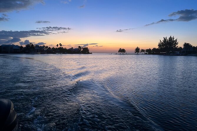 Private: Bioluminescence Tour - The Moon and Tide Reality Check (and How to Ask the Right Question)