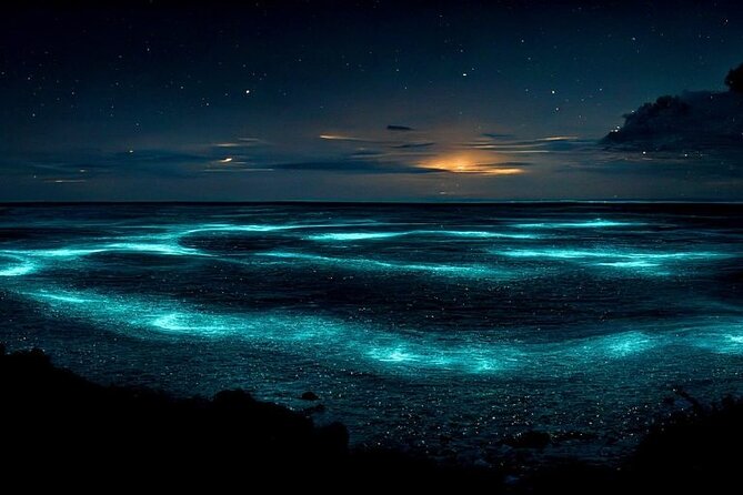 Private Bioluminescent Bay Tour - Key things to know before you go