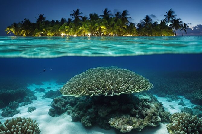 Private Bioluminescent Bay Tour - What Makes Grand Cayman’s Bio Bay Light Up
