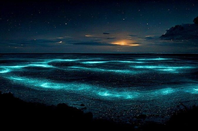 Private Bioluminescent Bay Tour - Duration and How to Pace the Night