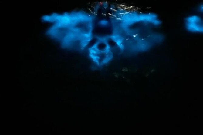 Private Boat Charter Experience in Bio Bay Cayman Island - Bio Bay at Night: What the 2-Hour Charter Is Really About