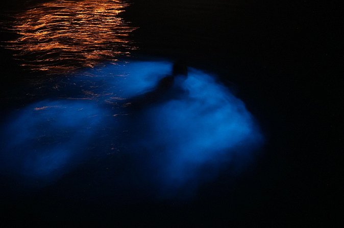 Private Boat Charter Experience in Bio Bay Cayman Island - Your Bio Bay Stop: Blue Water, Homes, and the Swim Moment