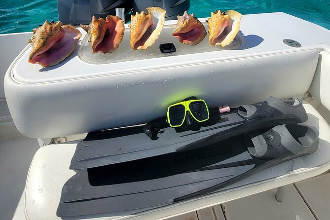 Private Boat Charter in Cayman Islands - Starfish Point: viewing and careful handling