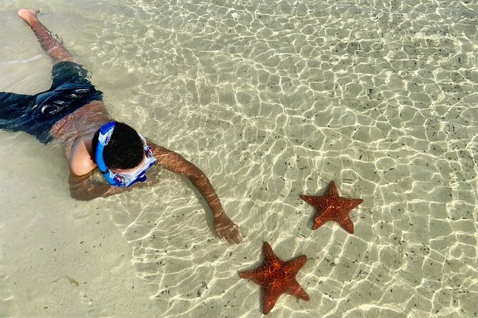 Private Boat Charter in Cayman Islands - Rum Point and Coral Gardens: reef snorkeling with more fish time