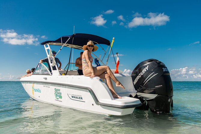 Private boat charter in Grand Cayman - Stingray City: The Signature Moment and How to Make It Enjoyable