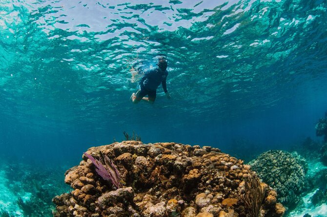 Private Boat Charter Snorkeling Stingray City or Bio Bay - Eco-friendly focus, and why it matters to you