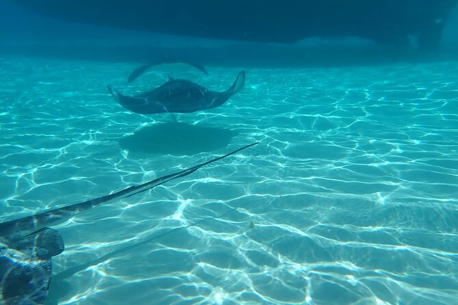 Private Boat Tour in Cayman Islands - Private Boat Day from Cayman Islands Yacht Club