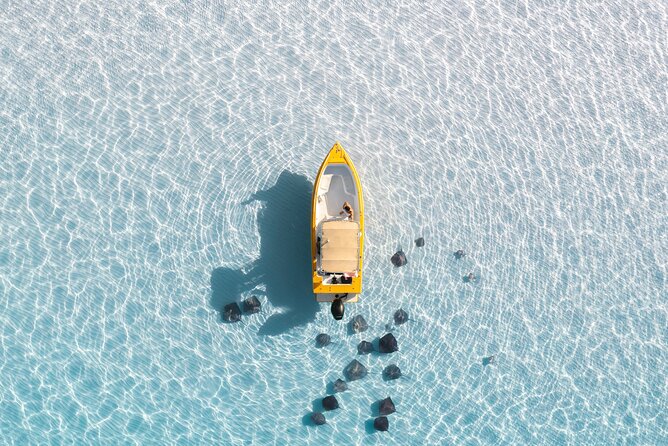 Private Boat Tours: Customize Your Grand Cayman Adventure! - Stingray City Sandbar: Your First 45 Minutes With the Friendly Stingrays