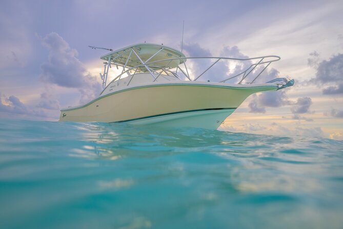 Private Boat Tours: Customize Your Grand Cayman Adventure! - Bio Bay at Night: The Glow Portion of the Trip