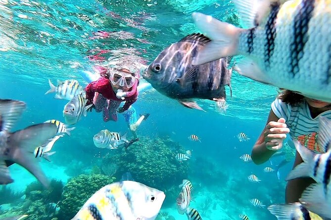 Private Charter 28ft Grady White. Stingrays, Snorkeling, Starfish - The stingray sandbar experience: what you should expect in the water