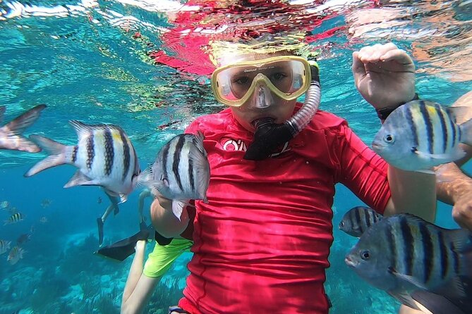 Private Charter 28ft Grady White. Stingrays, Snorkeling, Starfish - Value check: is $750 per group worth it?