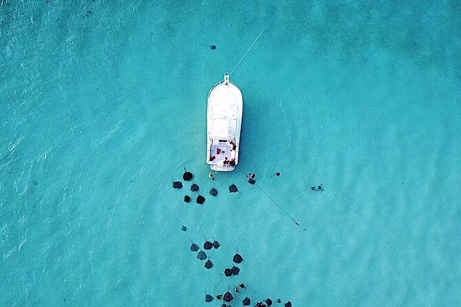 Private Charter 34ft Express Cruiser Stingay City Reef Snorkeling - Key things I’d plan around before you go