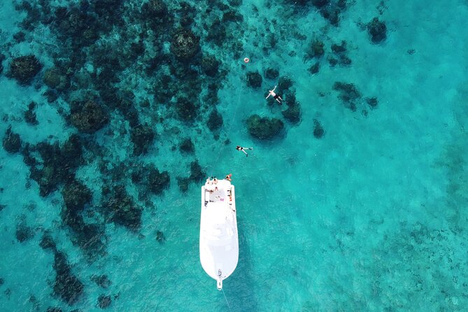 Private Charter 34ft Express Cruiser Stingay City Reef Snorkeling - Rum Point snorkeling: reef time where you can actually swim