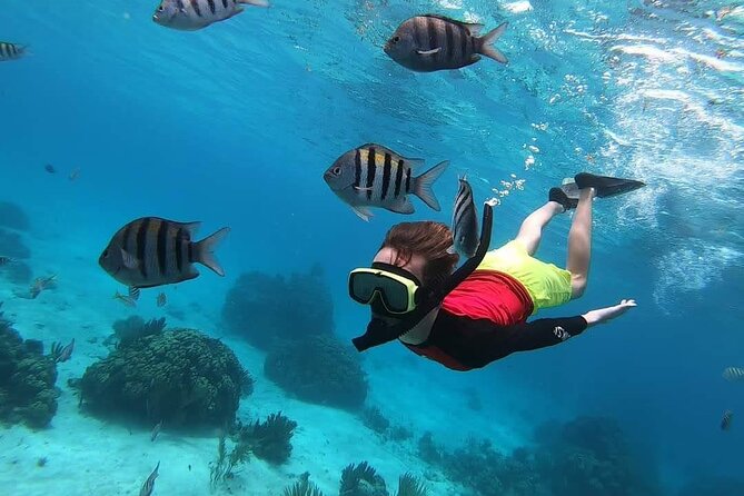 Private Charter 34ft Express Cruiser Stingay City Reef Snorkeling - Lunch, fishing, and how the crew customizes your day