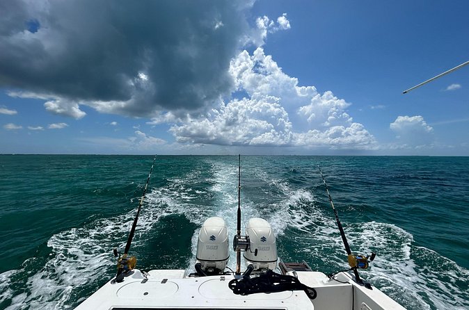 Private Charter Reef fishing, Stingray City, Snorkel, Mangroves - Stingray City: animal time with a comfort-first setup