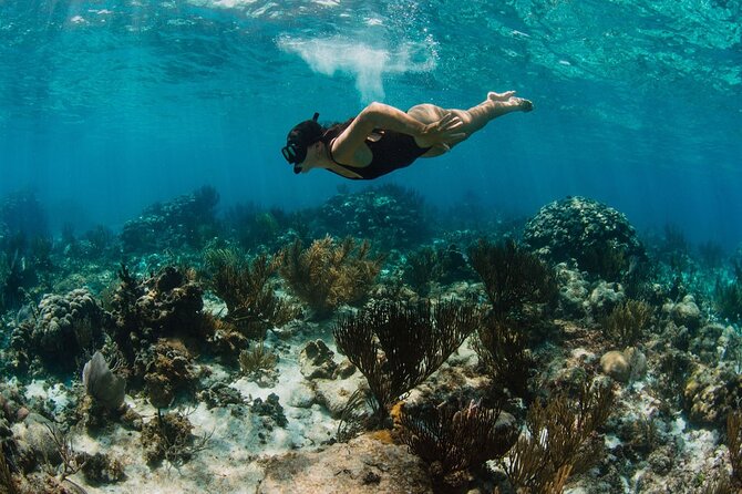 Private Charter Reef fishing, Stingray City, Snorkel, Mangroves - Reef fishing in Grand Cayman: gear included and the captain sets you up