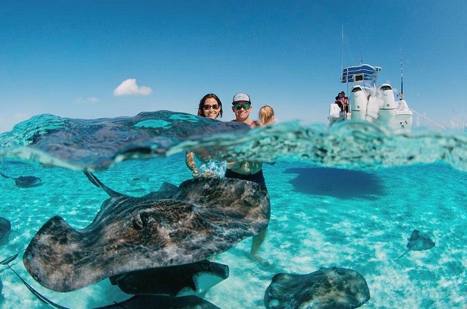 Private Charter Reef fishing, Stingray City, Snorkel, Mangroves - Bioluminescent Bay at night: the short ride that feels like a science show