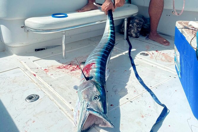 Private Deep Sea Fishing Experience in Grand Cayman - Private Deep Sea Fishing in Grand Cayman: What You’re Really Buying