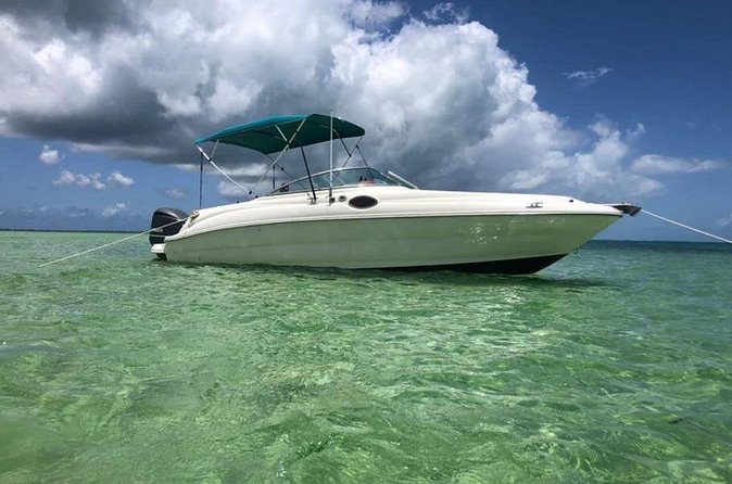 Private Full Day Charter - Stingray City, Starfish Point, Kaibo & Snorkeling - Snorkeling in 12 to 15 Feet: What You Can Expect