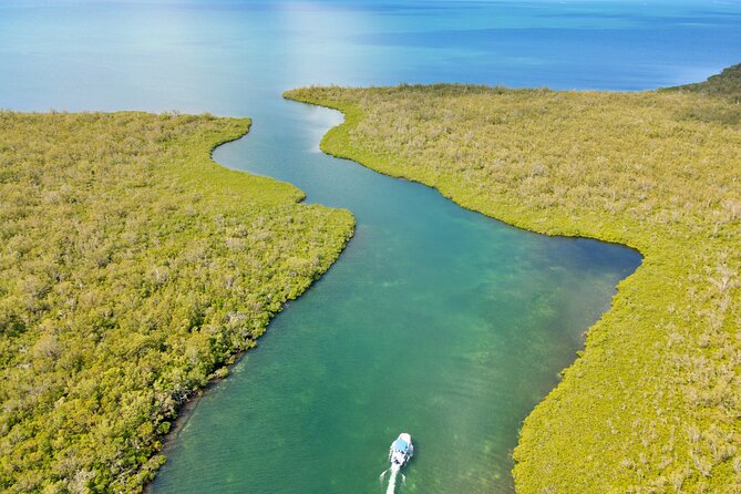 Private, Guided Boat Charters in The Cayman Islands - Stingray City at your pace, including sunrise plans