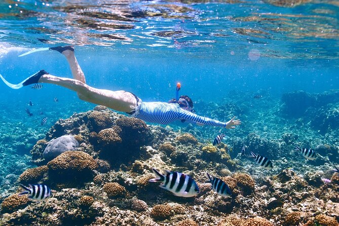 Private Half Day Boat Tour, 3 locations of your choice - Key Highlights You’ll Feel Right Away